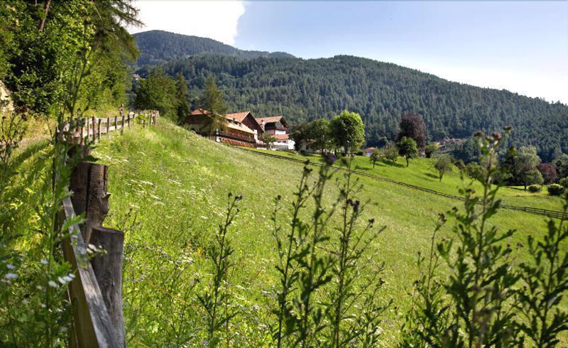 Naturhotel Wieserhof Longostagno Exterior photo