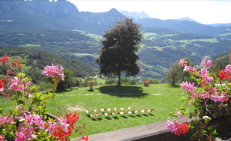 Naturhotel Wieserhof Longostagno Exterior photo